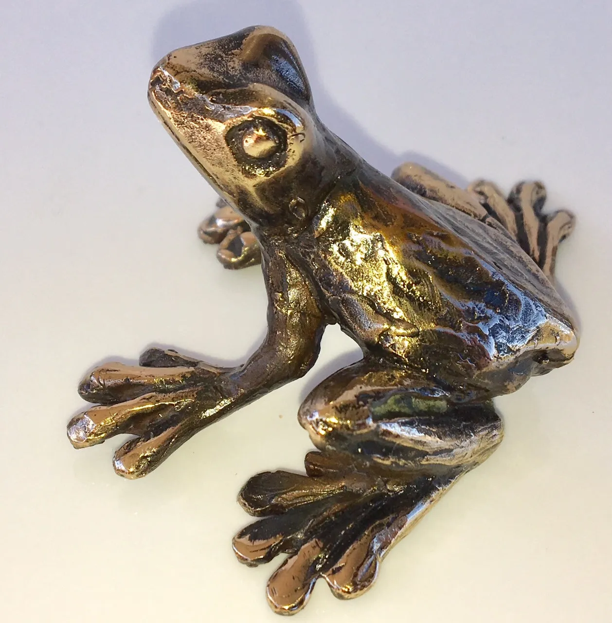 Bronze Frog