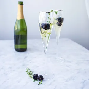 Mr. & Mrs. Gatsby Silver Rim Champagne Flutes
